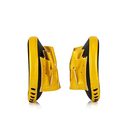 Focus Mitts - Black and Yellow - Fairtex - FMV15 Side view