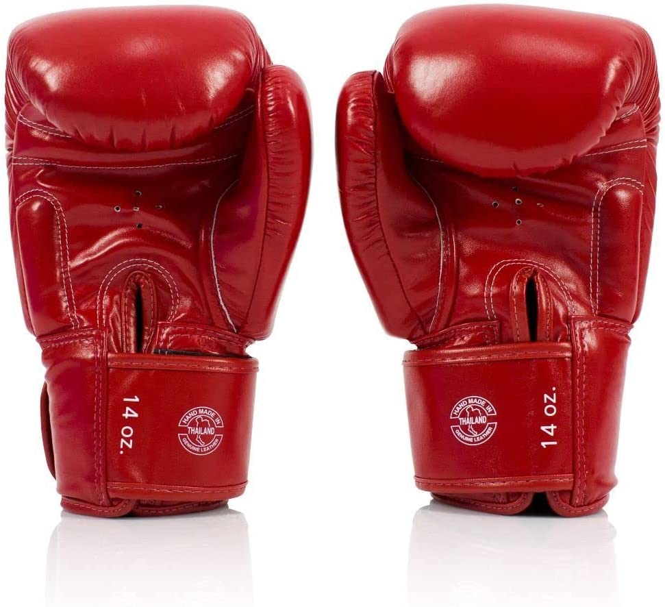 Fairtex - Deluxe Tight Fit Muay Thai Boxing Gloves - BGV19 – Back
