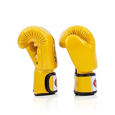 Fairtex - Deluxe Tight Fit Muay Thai Boxing Gloves - BGV19 – Gold Sides